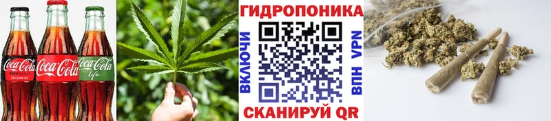 Canna-Cookies конопля  где найти наркотики  Петушки 