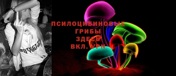 эйфоретик Алексин