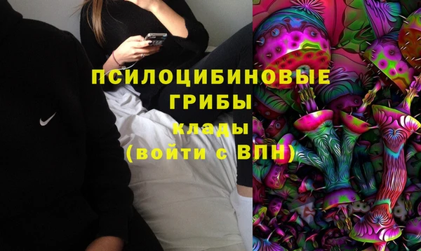 хмурый Алексеевка